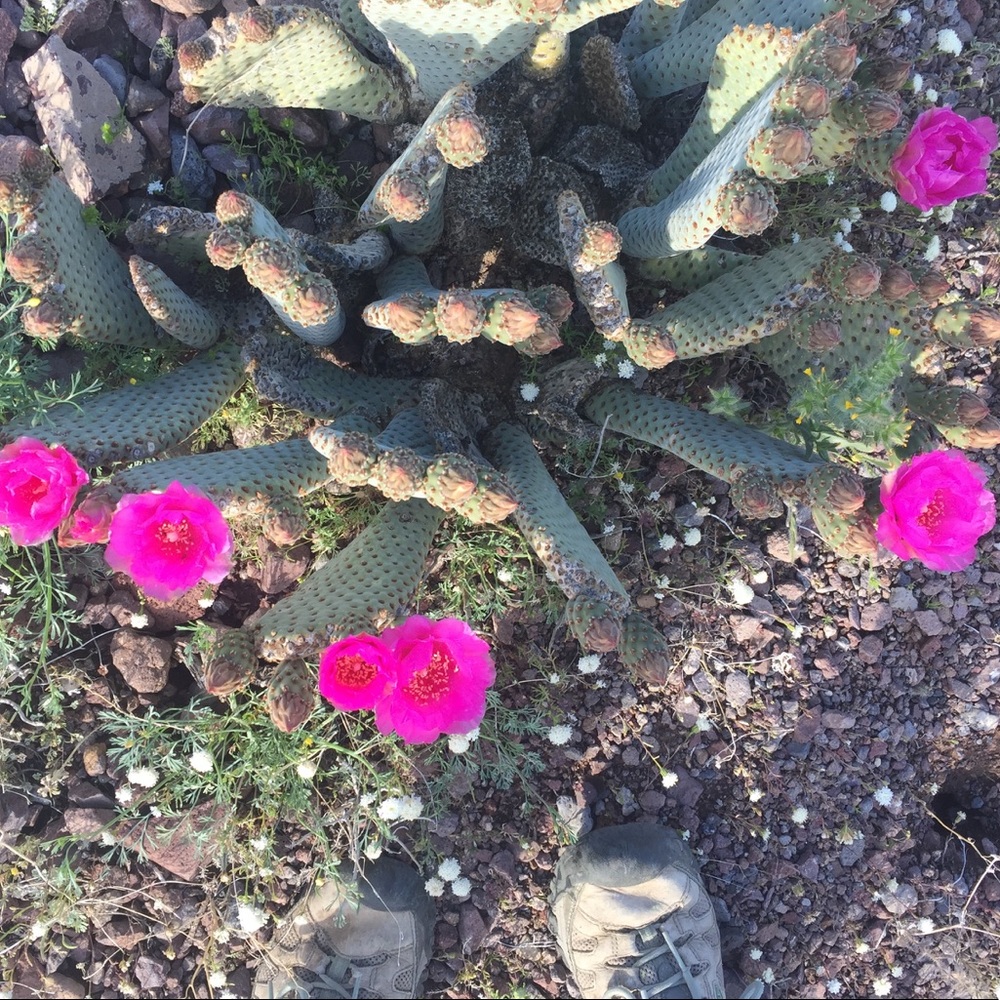 Meet your Posher, Peggy